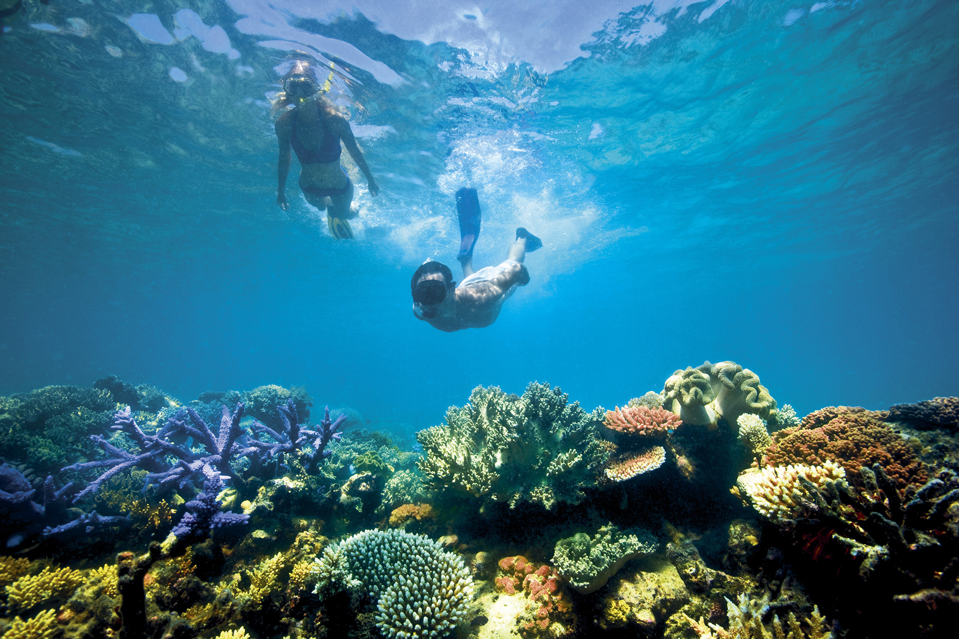 best reef tours in cairns